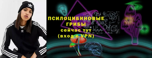 крисы Кинешма