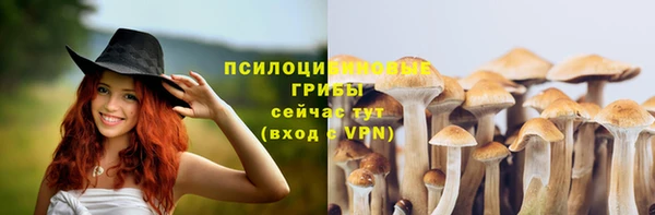 крисы Кинешма
