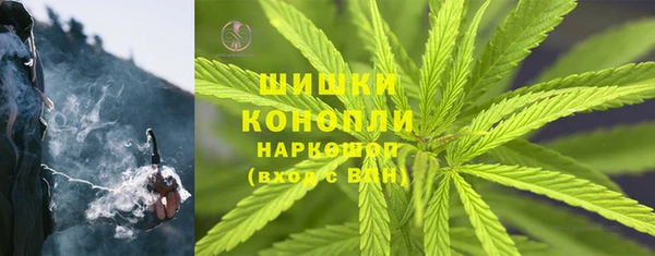экстази Щигры